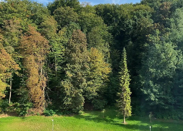 Grand Donat Superior & Wellness Center Hotel